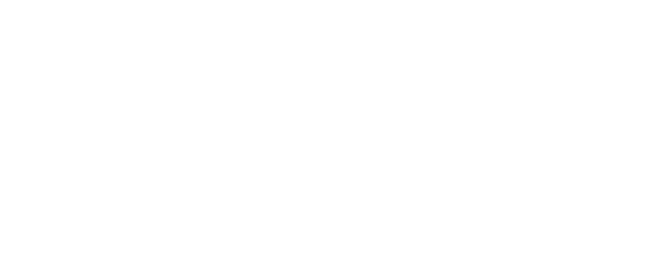 Eccelenza